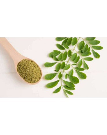 OLEIFERA MORINGA 30 GELULES...